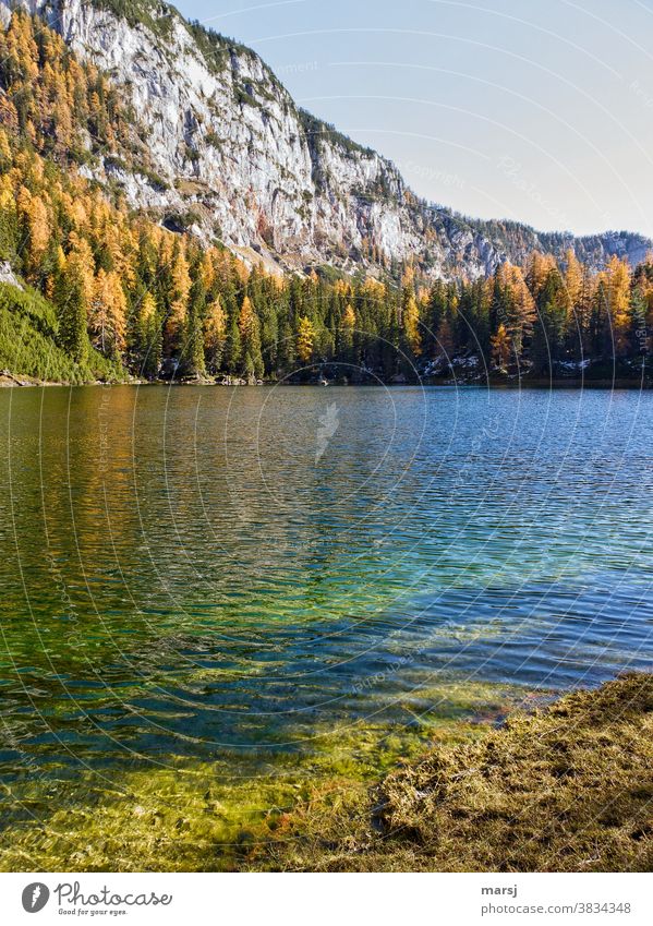 Herbstzauber am Bergsee See Ahornsee Gebirgssee mehrfarbig träumen Seeufer Felsen leuchten Lebensfreude herbstlich verträumt Idylle Hoffnung wandern Natur