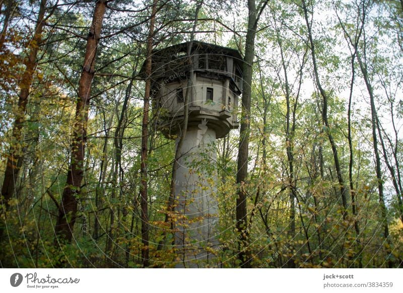 alter Wachturm mitten im Wald Natur Baum Herbst lost places Architektur Verfall Ruine Vergangenheit verfallen historisch versteckt verdeckt DDR geheim unbenutzt