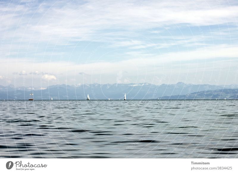 Ruhige Szenerie am Bodensee Wasser Berge u. Gebirge Himmel Wolken Schönes Wetter Segelboot Urlaubsstimmung See Landschaft blau Ferien & Urlaub & Reisen ruhig