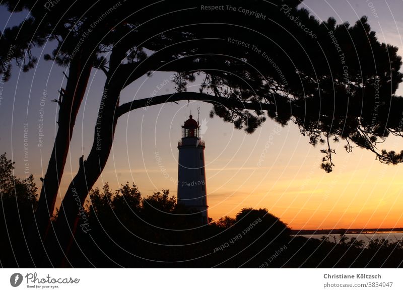 Leuchtturm Dornbusch auf Hiddensee im Sonnenaufgang Insel Baum Natur Ostsee Postkartenmotiv Menschenleer Küste Landschaft Wärme Urlaub Farbfoto Ferne