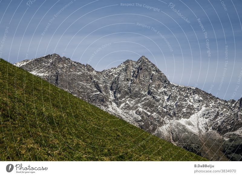 Hinter der grünen Bergwiese ragen die Alpen empor. Gebirge Italien Südtirol Gipfel Landschaft Berge u. Gebirge Himmel wandern Klettern Felsen Bergsteigen