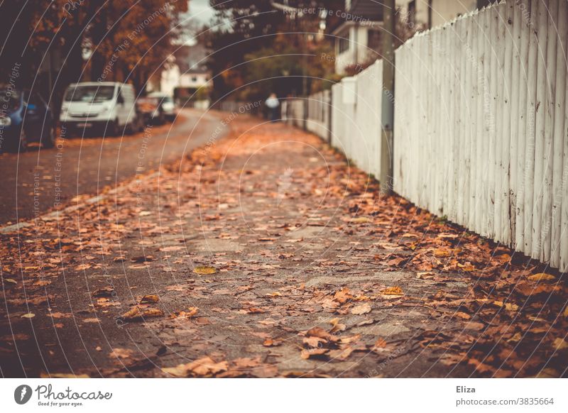 Herbstlicher Bürgersteig in einem Wohngebiet mit Laub auf dem Boden Zaun nass herbstlich Straße Gehweg Weg