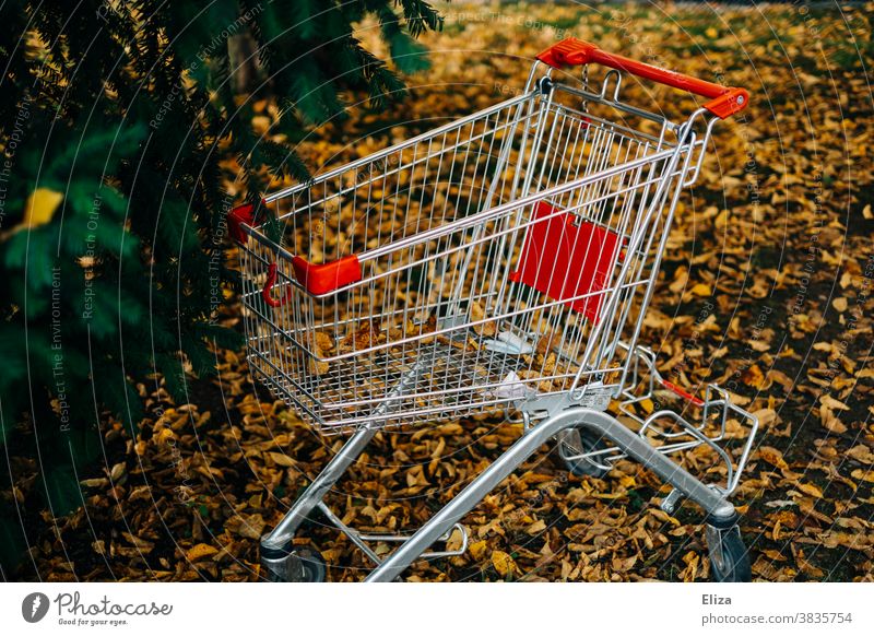 Einkaufswagen steht in der Natur Wald Baum geklaut Konsum nachhaltig Laub Herbst draußen leer
