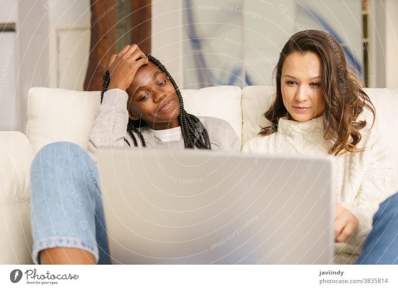 Zwei Studentinnen, die zu Hause mit einem Laptop auf der Couch sitzen. Frauen Freund multiethnisch Computer rassenübergreifend Liege Schüler schwarz Afro-Look