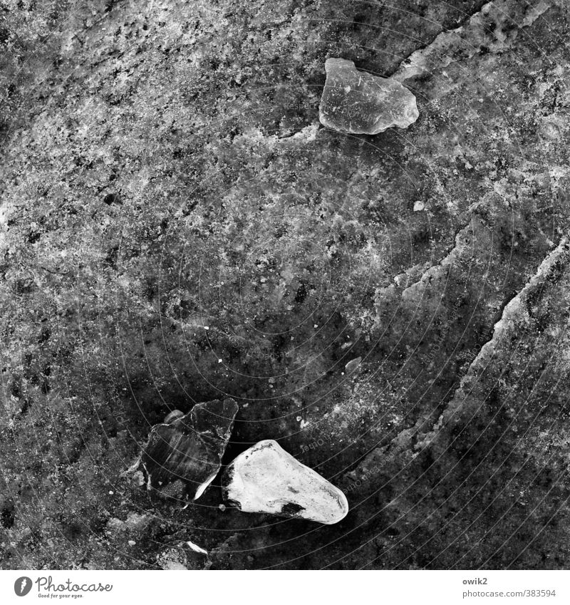 Lapides Stein liegen dunkel authentisch fest klein nah unten hart Mineralien durchsichtig Schwarzweißfoto Außenaufnahme Nahaufnahme Detailaufnahme