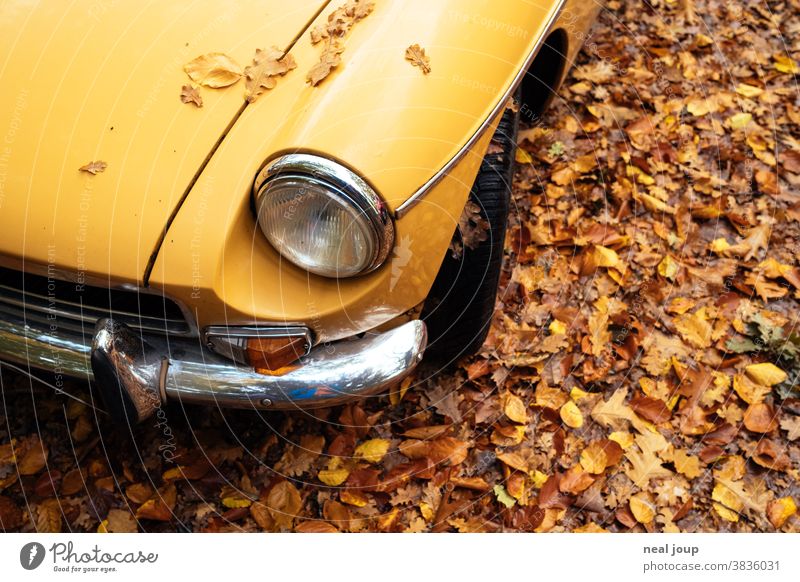 Gelbes Herbstlaub auf gelber Motorhaube – Oldtimer MG Jahreszeiten Herbstfarben braun Auto Chrom Detailansicht Scheinwerfer Stoßstange blick von oben Ton in Ton
