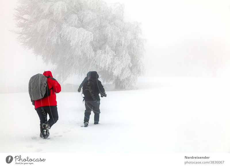 Winterwanderung bei Schneesturm im Schwarzwald Rückansicht Totale Tag Textfreiraum oben Außenaufnahme Farbfoto Abenteuer Freizeit & Hobby weiß wandern