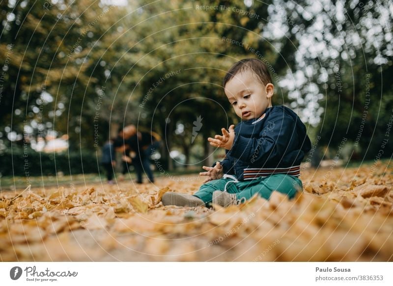 Kleinkind spielt mit Herbstblättern Kaukasier 1-3 Jahre Tag im Freien authentisch herbstlich Herbstlaub fallen fallend Natur Kindheit Herbstfärbung mehrfarbig