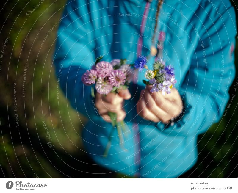Herbststräußchen Feld Feldblume Natur sammeln Kind Kinderhände natürlich einfach zeigen freuen freude Freiheit Kindheit ausflug geschenk lila blau weiss