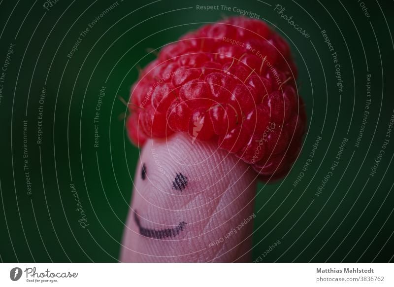 Himbeer-Hut Himbeeren lustig Gesicht Freude Porträt Fröhlichkeit Mensch Lächeln Glück Außenaufnahme positiv heiter Obst Kindheit Textfreiraum links