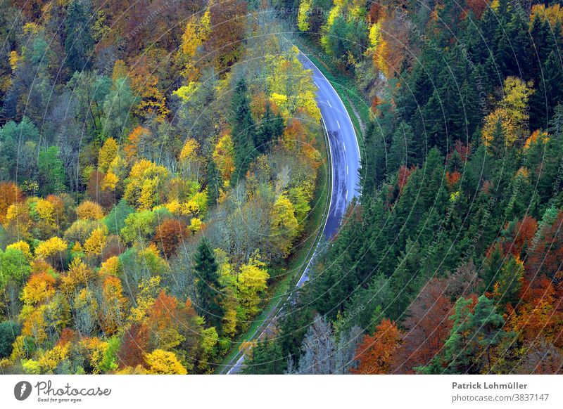 Herbstschleife herbst herbststimmung bäume wald straße von oben aussicht ausblick schneise oberes donautal reisen tourismus baden-württemberg deutschland europa