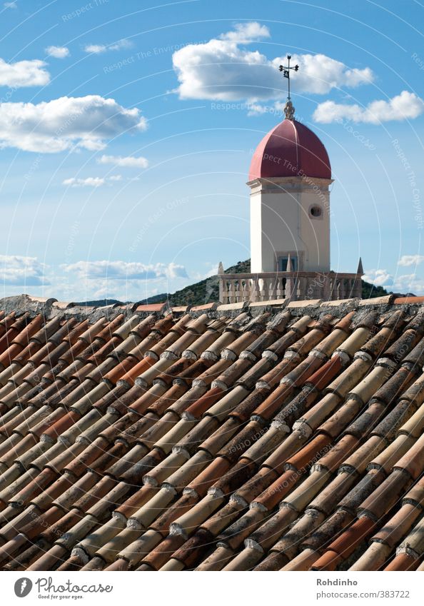 Über dem Dach Architektur Sibenik Kroatien Mittelmeer Dorf Kleinstadt Altstadt Haus Kirche Bauwerk Gebäude Sehenswürdigkeit Religion & Glaube Dachziegel