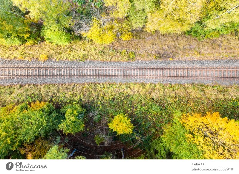 Zug Gleise im Wald von oben nach unten Zugnägel Spuren Bahn von oben Zuggleis von oben erst Herbstwald Verkehr einsam allein leere Spur