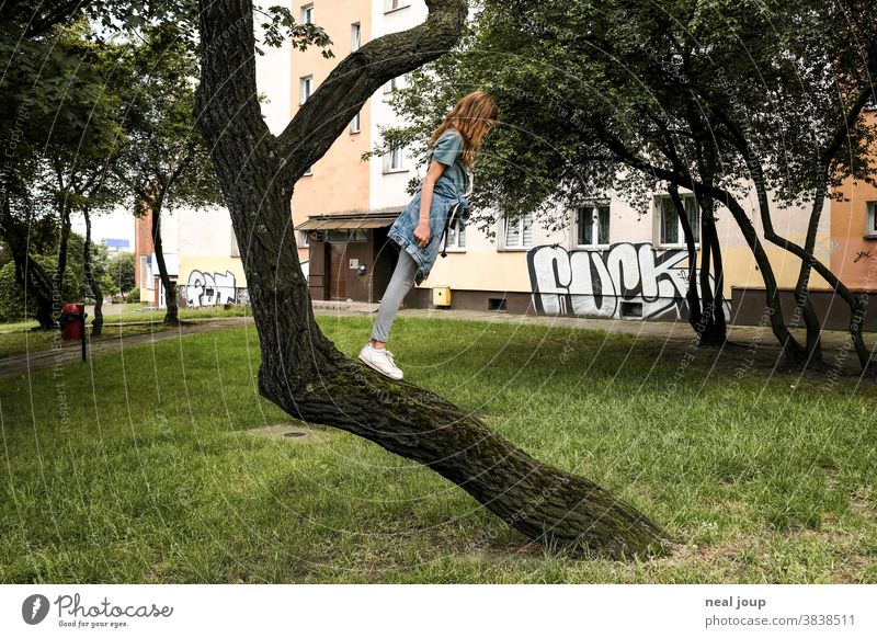 Mädchen steht auf schrägem Baumstamm Gleichgewicht Balance skurril natur Stadt Kontrast Spaß spielen Balancieren Umfallen grün Jeans 12 Jahre jung Kindheit