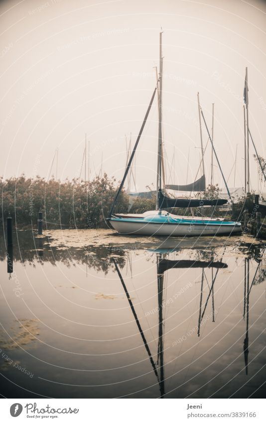 Kleines Segelboot liegt im Nebel Jolle See Wasser Hafen segeln Segeltörn Anlegesteg Wasserfahrzeug nebelig Ferien Urlaub Segelschiff Segelurlaub Freizeit Reise