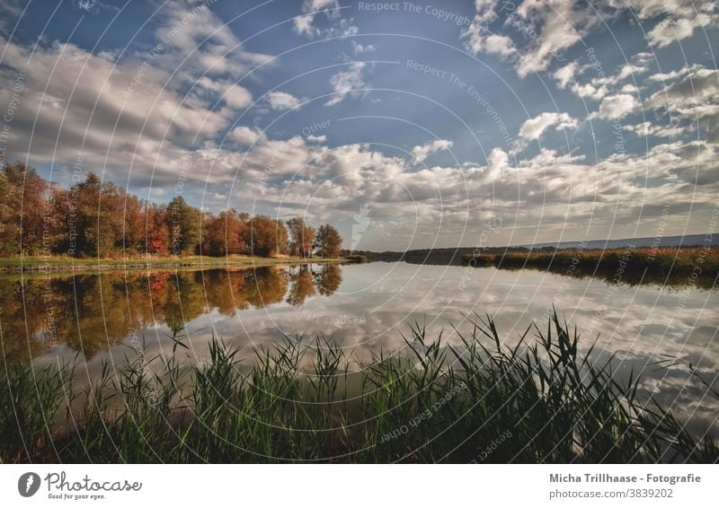 Herbst am See Dachwig Thüringen Wasser Himmel Wolken herbstlich Spiegelungen Reflexionen Bäume Ufer Herbstlaub Schilf Natur Landschaft Ruhe Idylle