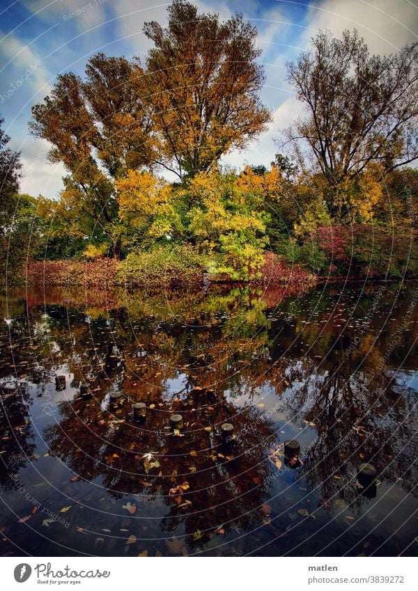 Herbstlaub Laubfärbung Bunt Menschenleer Blätter Außenaufnahme Farbfoto See Ufer Spiegelung Rot Blau Gelb grün Himmel Wolken Landschaft mobil