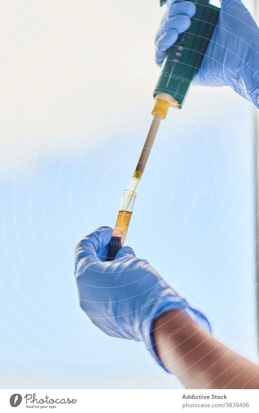 Pflanzenwissenschaftler füllt Reagenzglas mit Flüssigkeit mittels Pipette Wissenschaftler besetzen Prüfung Tube Prozess liquide Werkzeug Handschuh Labor