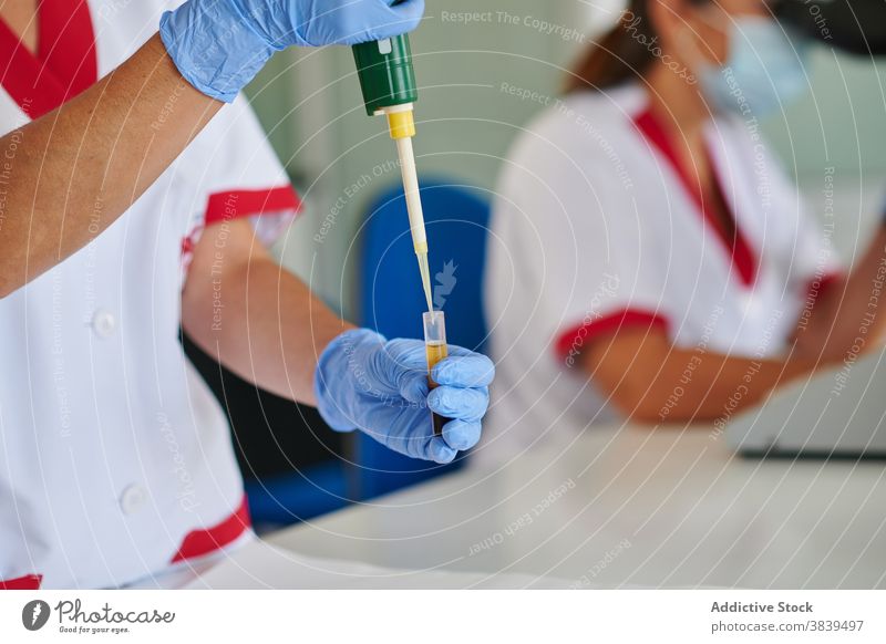 Pflanzenwissenschaftler füllt Reagenzglas mit Flüssigkeit mittels Pipette Wissenschaftler besetzen Prüfung Tube Prozess liquide Werkzeug Handschuh Labor