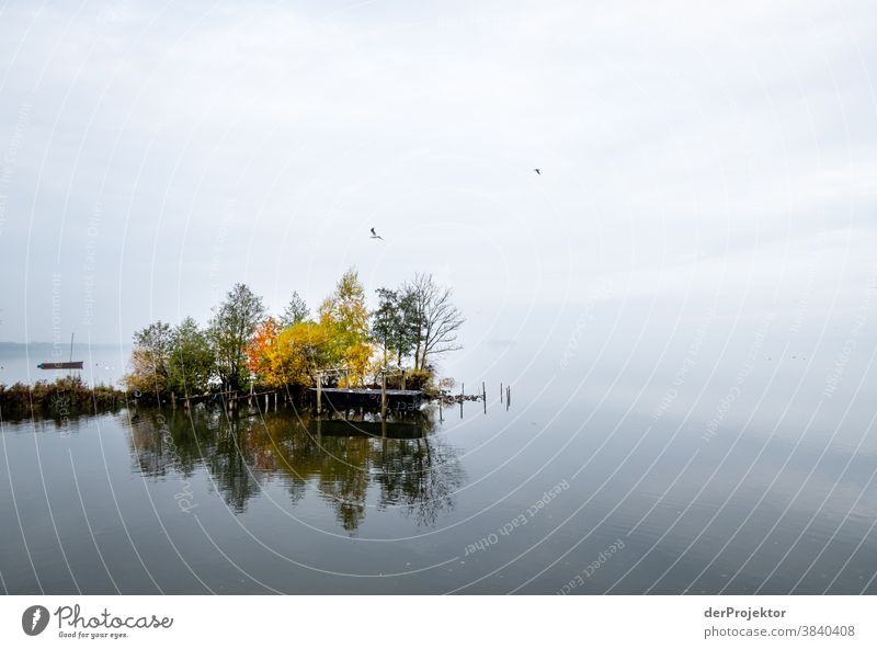 Ruhige See am Steinhuder Meer mit Boot Landschaft Ausflug Natur Wanderung Umwelt wandern Pflanze Herbst Akzeptanz Vertrauen Glaube Naturerlebnis herbstlich