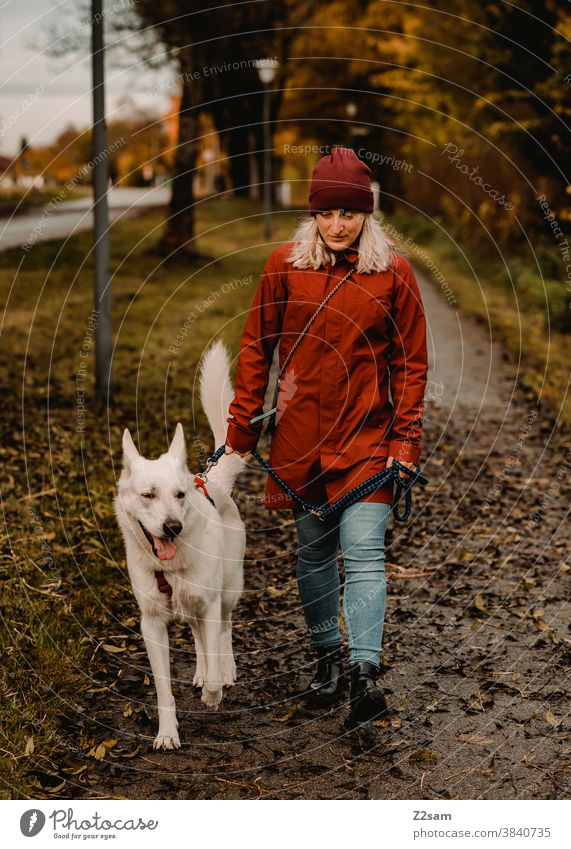 Junge Frau beim Gassi gehen mit weißem Schäferhund gassi gehen schäferhund spazieren zuneigung erziehung rot mütze herbst feld natur ländlich sitzen leine brav