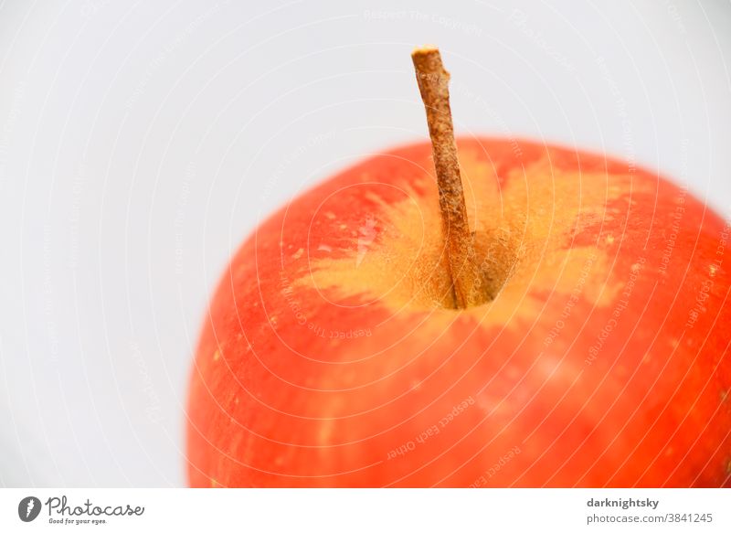 Kleiner runder roter Apfel aus organischem Anbau im Detail Frucht Stengel Gesundheit Ernährung lecker Vegetarische Ernährung Lebensmittel frisch Nahaufnahme