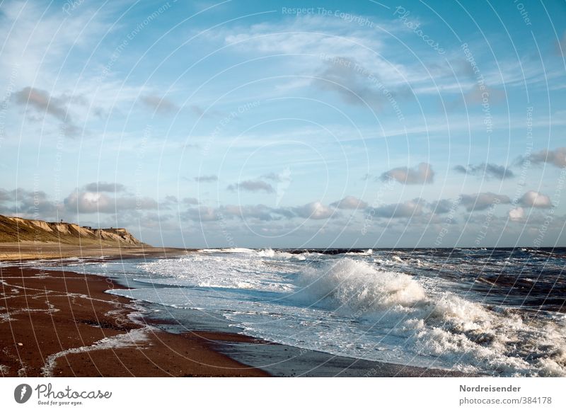 Dänemarks Westküste Leben harmonisch Sinnesorgane Erholung Ferien & Urlaub & Reisen Sommer Sommerurlaub Strand Meer Wellen Landschaft Himmel Wolken Klima