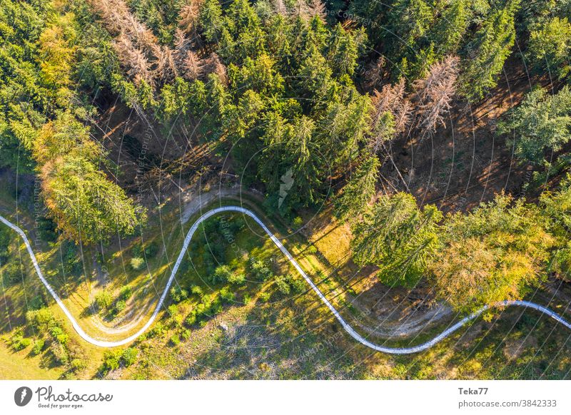eine Bobbahn im Sommer von oben Bobschlitten Sommer-Bob Sport Genuss Wald Nadelwald Kind einsam leer kurvenreich