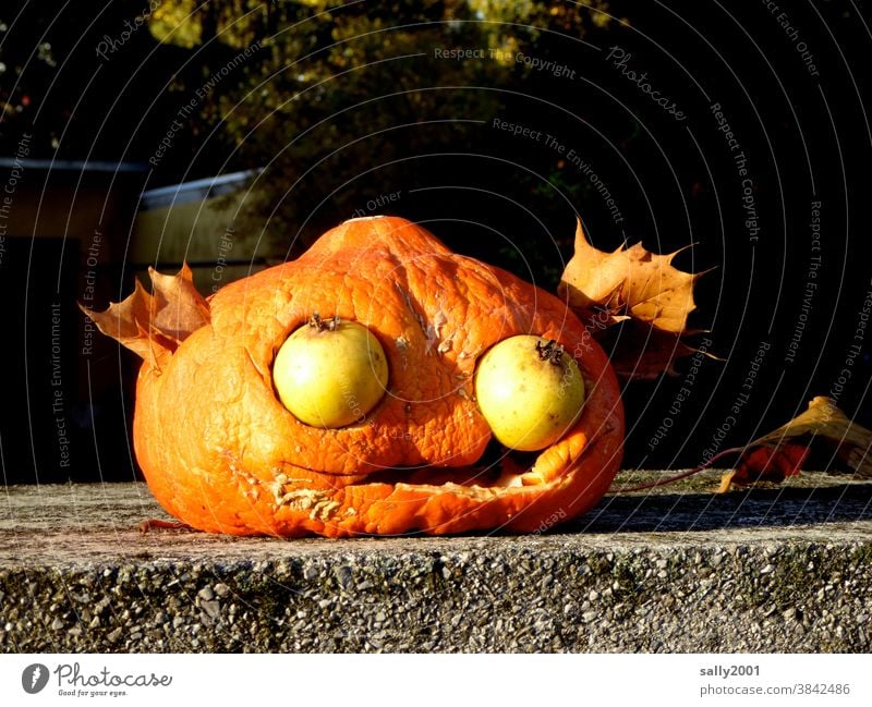 Herbstanfang... Kürbis Halloween Erntedankfest Gemüse Dekoration & Verzierung Blatt Gesicht Kunst Auge Obst Frucht Früchte saisonbedingt orange Tradition Birne