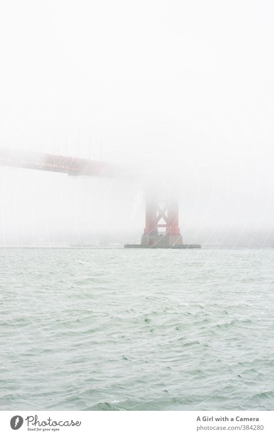 eingehüllt Umwelt Natur Sommer schlechtes Wetter Nebel Bucht San Francisco San Francisco Bay Golden Gate Bridge USA Stadt Hafenstadt Stadtrand Brücke
