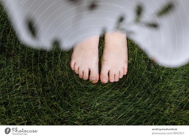 Nahaufnahme von oben der nackten Füße eines Kindes auf dem grünen Gras, Naturbegriff Sommer Kindheit Mädchen Fuß Baby wenig Glück schön Frühling Spaß Menschen