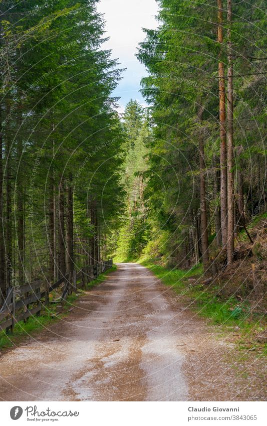 Berglandschaft entlang der Strasse des Landrotals, Dolomiten Bozen Toblach Europa Italien Misurina trentino südtirol Farbe Radweg Tag grün Landschaft