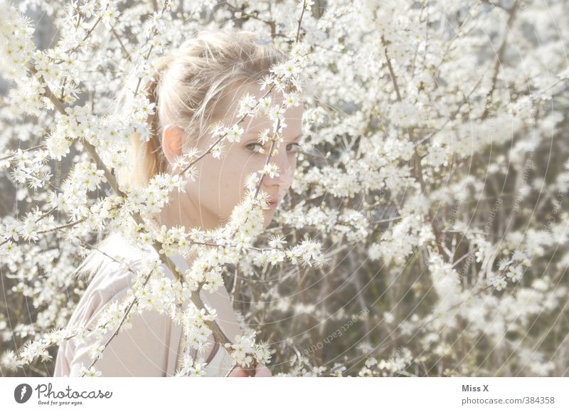 Versteckt im Blütenmeer schön Hochzeit Mensch feminin Junge Frau Jugendliche 1 18-30 Jahre Erwachsene Frühling Sträucher blond Blühend Duft weiß Gefühle