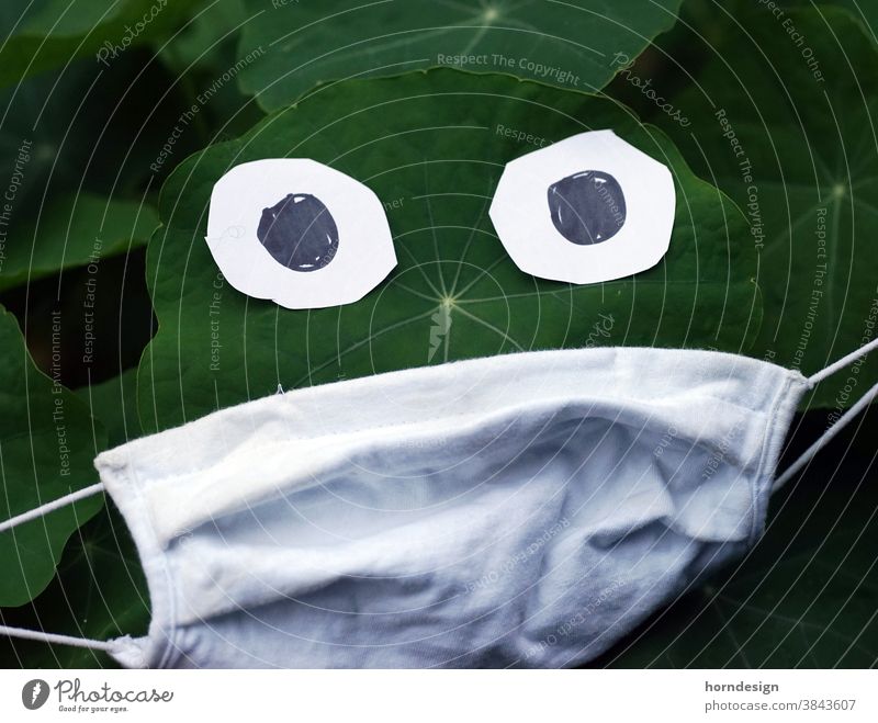 Maske mit Blatt Corona Mundschutz Pandemie Schutz Corona-Virus Coronavirus COVID Schützen Prävention Lustig Kapuzinerkresse
