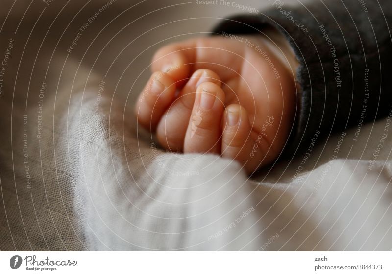 Das Licht dieser Welt Baby Kind Hand Kleinkind Finger klein Nahaufnahme 0-12 Monate Detailaufnahme säugling