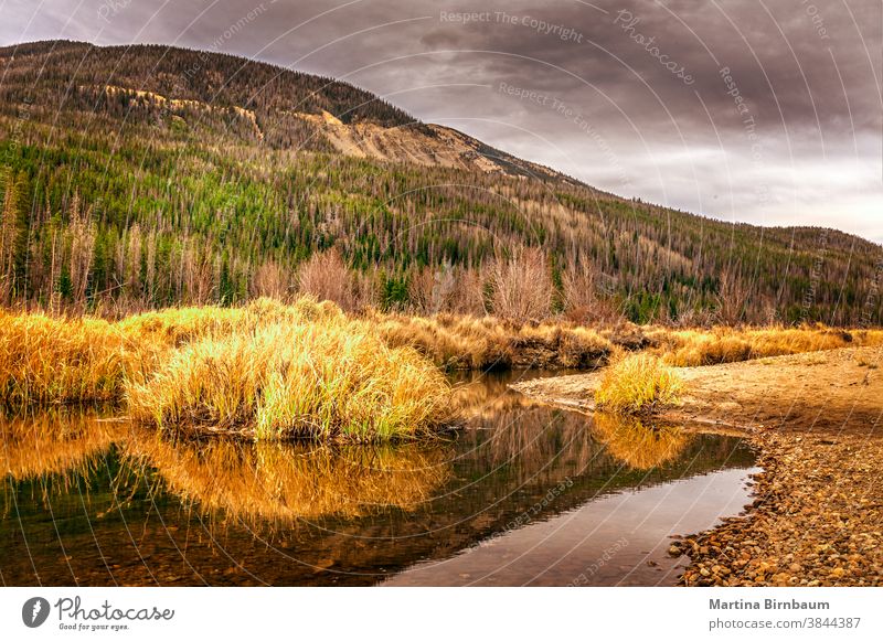 Dramatische Wolken im Oktober über dem Colorado-Fluss im Rocky Mountain National Park fallen Colorado River Bäume berühmter Ort Nationalpark Bach