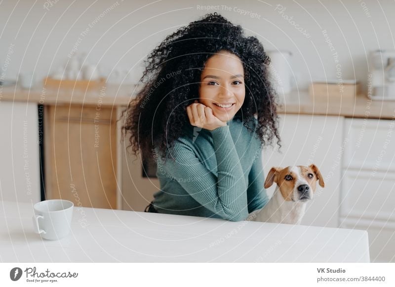 Foto einer angenehm aussehenden Frau in Freizeitkleidung, mit lockigem, buschigem Haar, posiert mit Rassehund gegen die Kücheneinrichtung, trinkt morgens Kaffee, genießt das Wochenende, lächelt angenehm in die Kamera