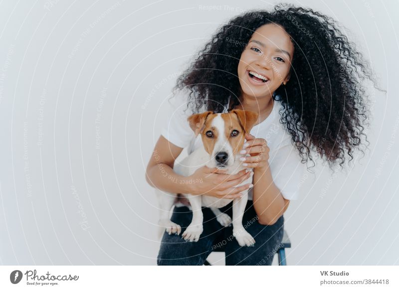 Porträt eines fröhlichen, gelockten Mädchens, das seinen Hund streichelt, sich über den Kauf eines Jack-Russell-Terriers freut, breit lächelt, mit dem Tier spielt, lässige Kleidung trägt, isoliert über weißem Hintergrund, genießt guten Tag