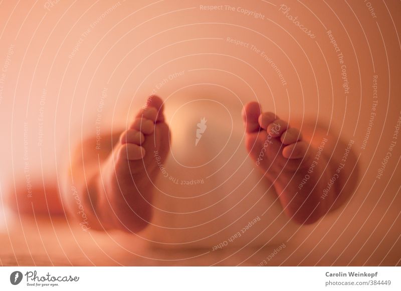 Speckfüße. Mensch maskulin feminin Kind Baby Kleinkind Kindheit Leben Haut Fuß Zehen 1 0-12 Monate rot Glück Körperpflege Windeln Fußsohle neugeboren Farbfoto