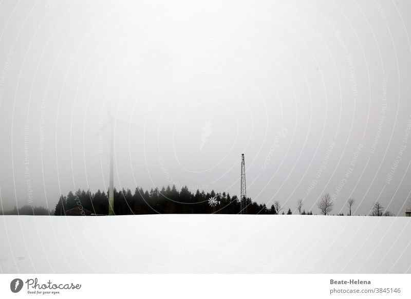 Schwarzwald im Nebel Wald Bäume Windrad Alternative Energie grau in grau Schnee trübes Wetter Natur Menschenleer Außenaufnahme Landschaft schlechtes Wetter
