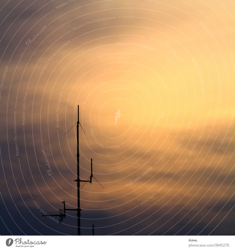 Empfangskraft Himmel sonnig Sonnenlicht Menschenleer skurril Perspektive Antenne Versorgung empfang endzeitstimmung wolken silhouette senden umwandler auffangen