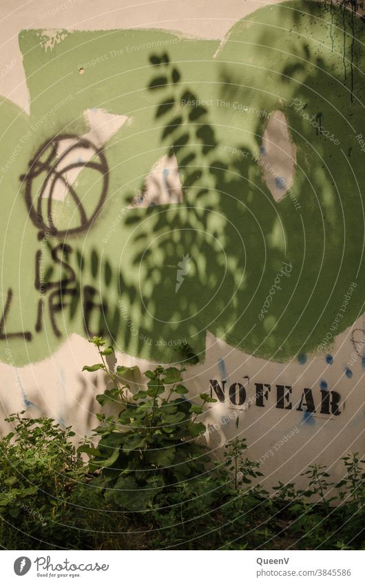 Wand mit Graffiti Straßenkunst Angst keine Angst Schatten Sommer grün Stadtleben Leben grün und weiß weiß und grün Lifestyle Stadtteil stencil Text