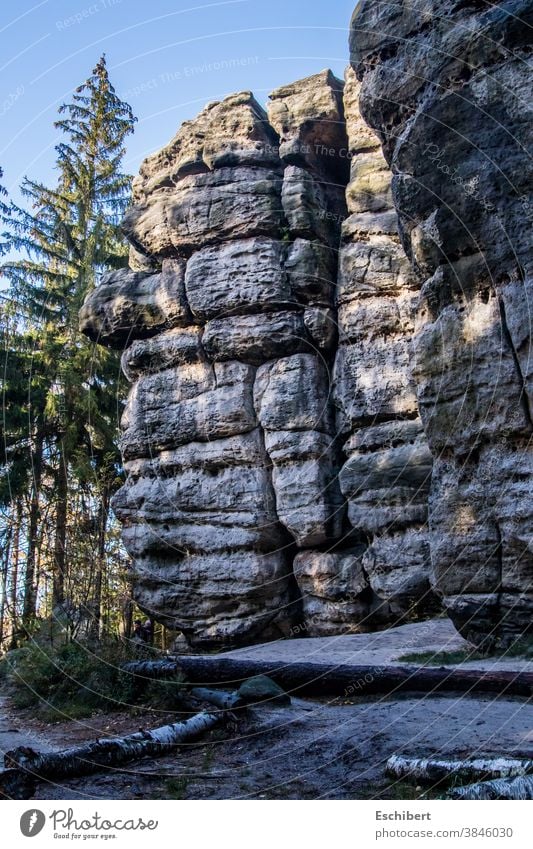 Sandstein-Fels in der Sonne Zittauer Gebirge Wandern Klettern glücklich frei Auszeit Erholung Urlaub Felsen Idylle Natur Sachsen Freude Schönheit