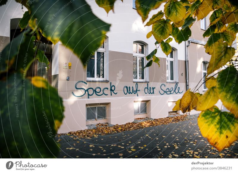 Speck auf der Seele: Graffiti in Berlin Ausflug Natur Umwelt Sightseeing Pflanze Herbst Schönes Wetter Akzeptanz Herbstlaub Herbstfärbung herbstlich