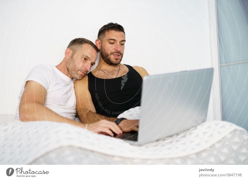 Schwules Paar, das auf dem Bett liegend etwas auf seinem Laptop konsultiert. schwul Männer Homosexualität lgbt lgbtq männlich Partnerschaft Freund Menschen 30s