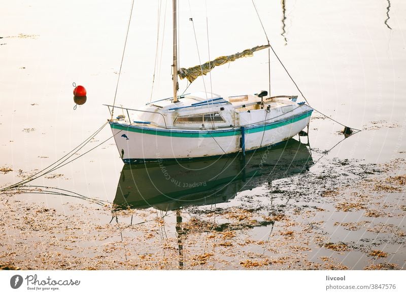 kleines Segelboot im Hafen vertäut, ploumanach-france Boot weißes Boot MEER quaid Portwein Ploumanach Frankreich Küste Dorf Windstille Schatten Schwimmer