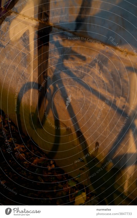 Ghost Bike fahrrad schatten brücke nachhaltig sauber gesund natur ökologisch rahmen lenker sattel bremse virtuell vergänglich arbeitsweg radweg radsport