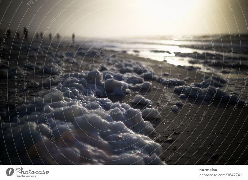 schaumige See Ostsee Nordsee Strand Gisch Wellen verschutzung umwelt umwelverschmutzung luftig unnatürlich sand winter natur nachaltig urlaub spaziergang