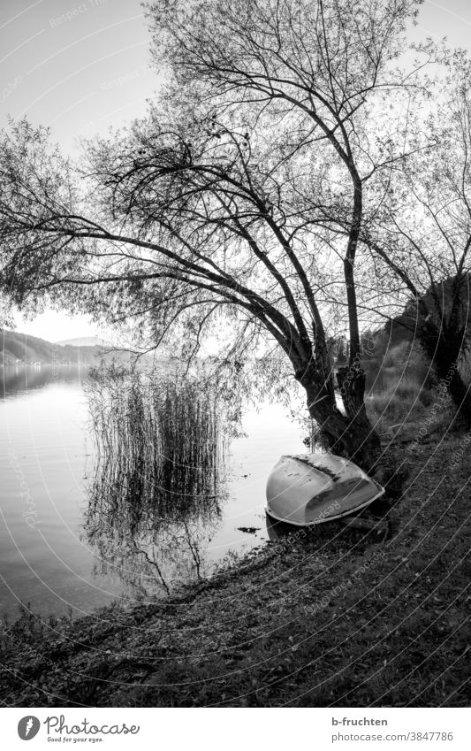 Boot liegt am Seeufer, Schwarz-Weiß-Fotografie schwarz weiß Österreich Herbst Landschaft Natur Wasser Außenaufnahme Umwelt Himmel ruhig Menschenleer Idylle