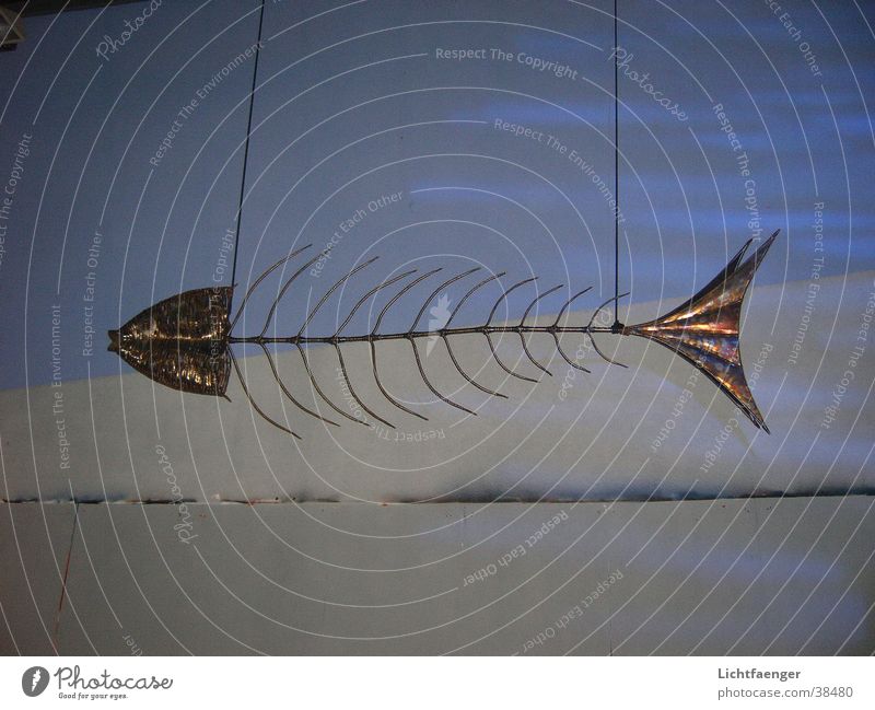 Elektrofisch Fischgräte Skulptur Kunst Umwelt Freizeit & Hobby Fishbone